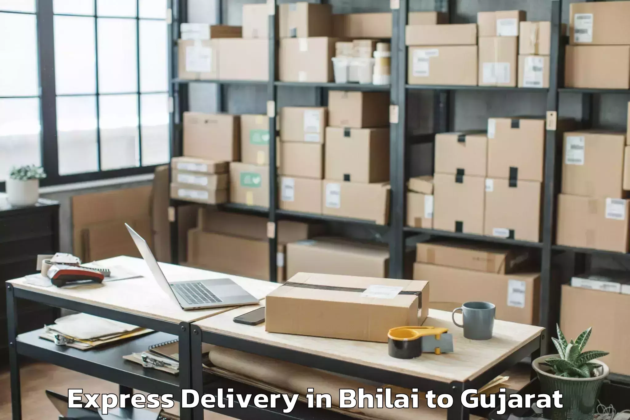 Professional Bhilai to Rajula Express Delivery